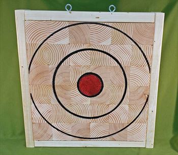 AXE THROWING TARGET 999 - 23 1/2" x 22 1/2" x 3 3/4" Only $179.99